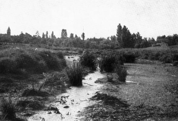 Die Fock, ehemaliger Rheinarm in Porz-Heumar, etwa 1955, Foto Herr Albert Gnther